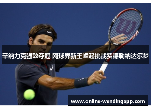辛纳力克强敌夺冠 网球界新王崛起挑战费德勒纳达尔梦 辛纳力克强敌夺冠 网球界新王崛起挑战费德勒纳达尔梦