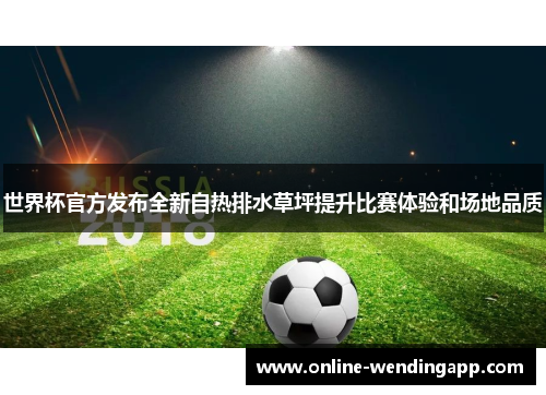 世界杯官方发布全新自热排水草坪提升比赛体验和场地品质