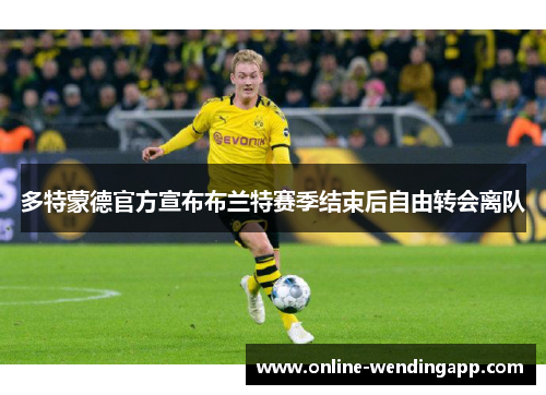 多特蒙德官方宣布布兰特赛季结束后自由转会离队